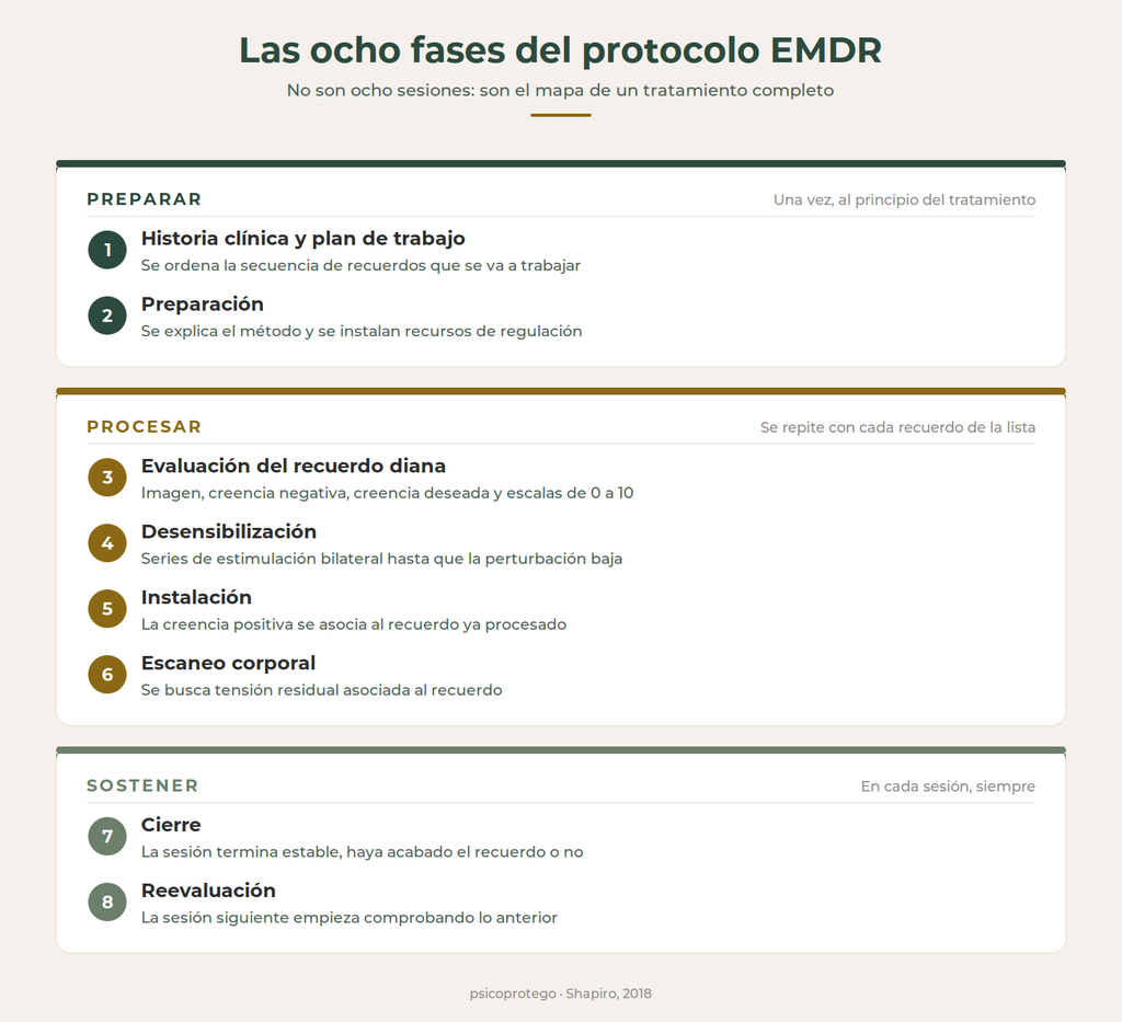 Las 8 fases del protocolo EMDR, psicólogo EMDR.