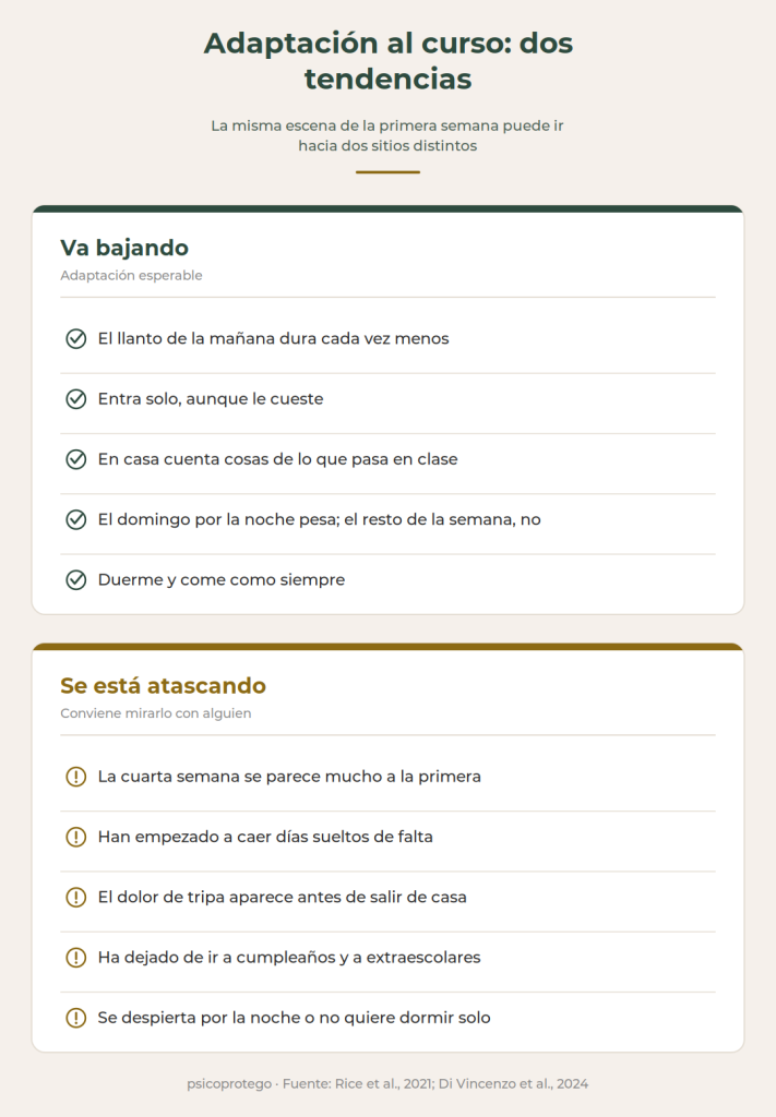 Como saber si el niño se está adaptando o no. Criterios de adaptación escolar a principio de curso. Versión mobile.